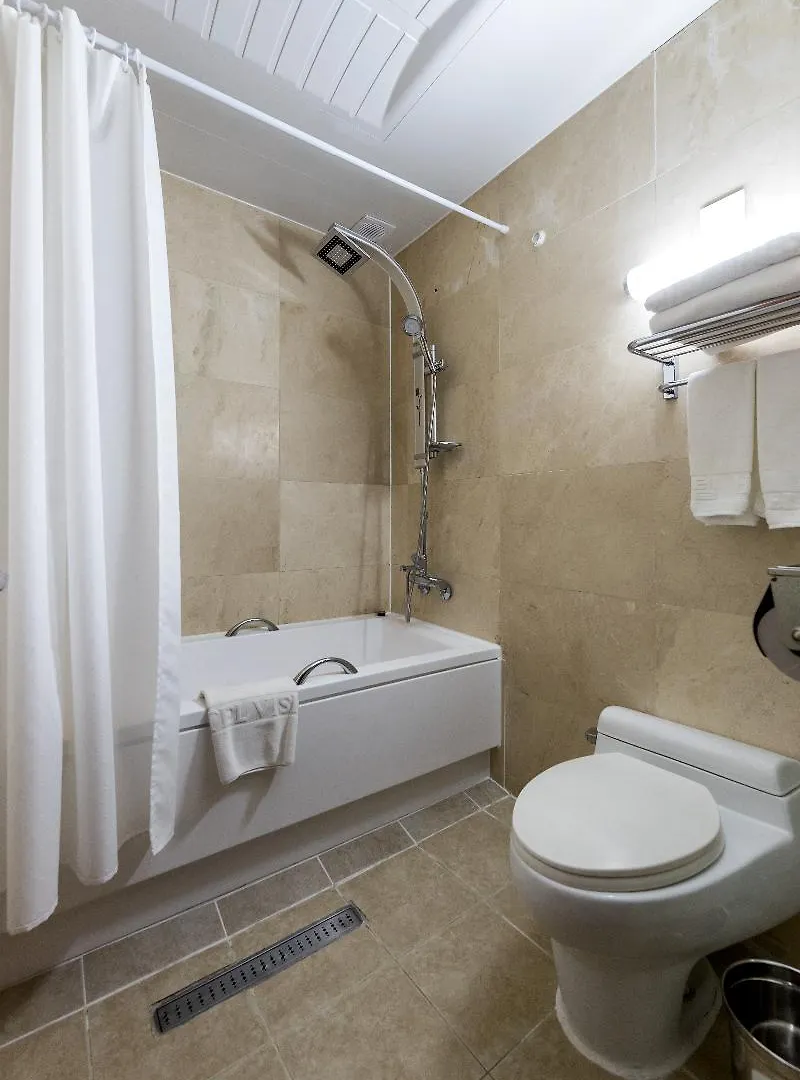 Hotel Vision Seoul Sydkorea